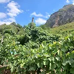 Bujtina Dalmacia 3*