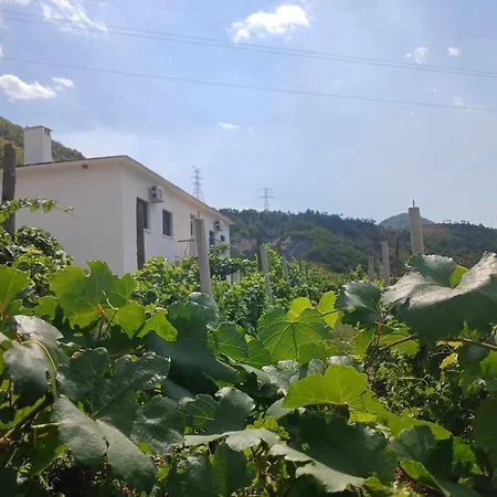 Guest house Bujtina Dalmacia *