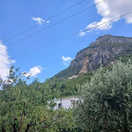 Guest house Bujtina Dalmacia Koman