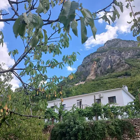 Bujtina Dalmacia Koman