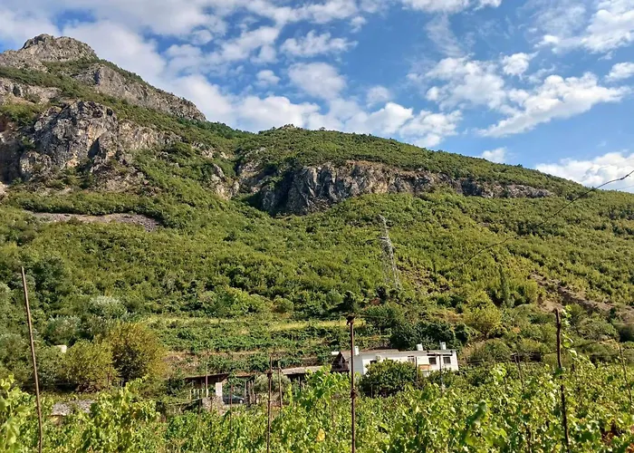 Bujtina Dalmacia 3* Koman