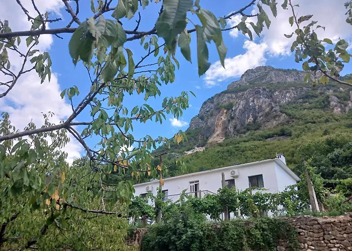 Bujtina Dalmacia Koman