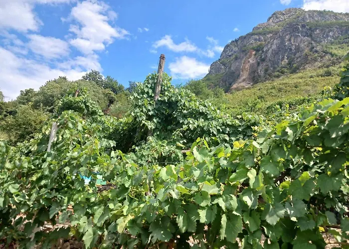 Bujtina Dalmacia 3*