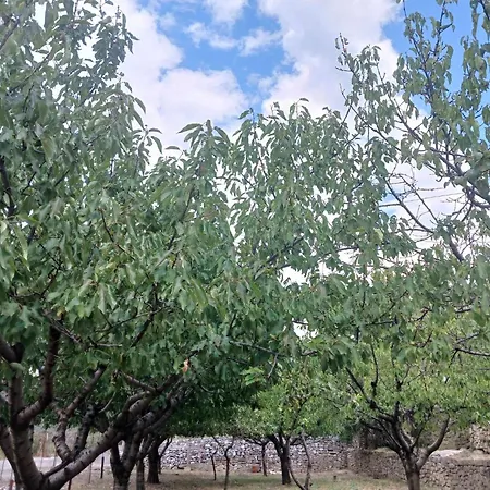 Bujtina Dalmacia Pensionat 3*