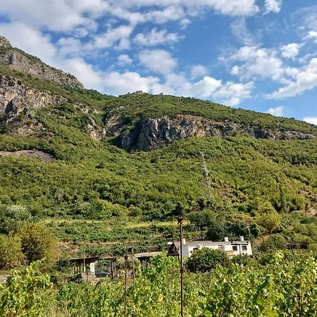 Bujtina Dalmacia 3* Koman