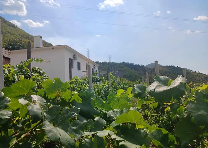 Penzion Bujtina Dalmacia 3*